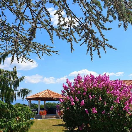 Holiday Apartment Villa Bianca Pazin Zewnętrze zdjęcie