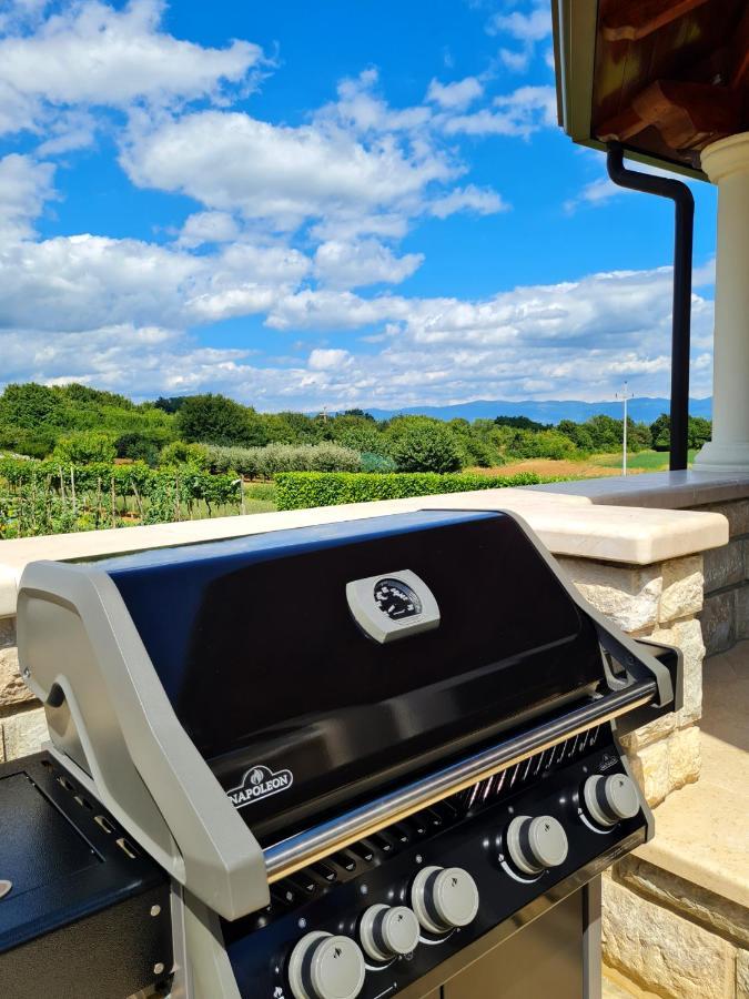 Holiday Apartment Villa Bianca Pazin Zewnętrze zdjęcie