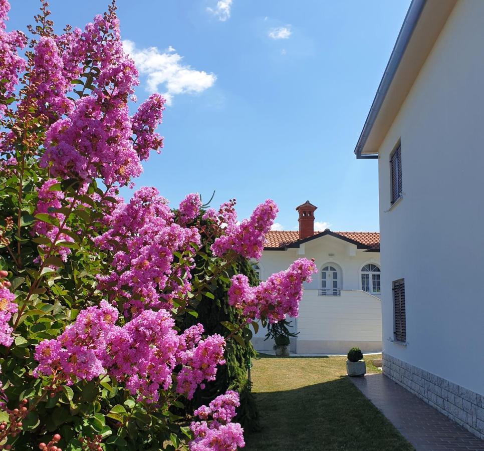 Holiday Apartment Villa Bianca Pazin Zewnętrze zdjęcie