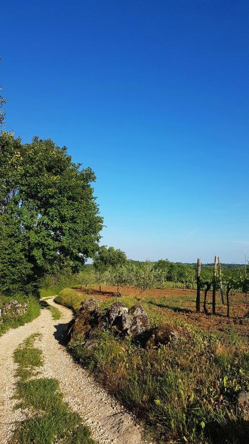 Holiday Apartment Villa Bianca Pazin Zewnętrze zdjęcie
