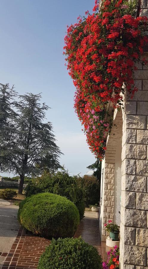 Holiday Apartment Villa Bianca Pazin Zewnętrze zdjęcie