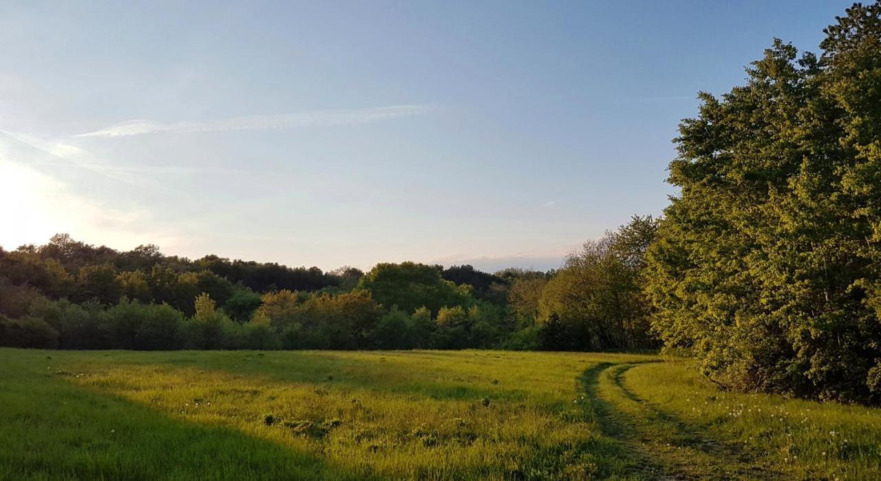 Holiday Apartment Villa Bianca Pazin Zewnętrze zdjęcie